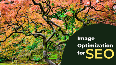 Image Optimization for SEO-featured