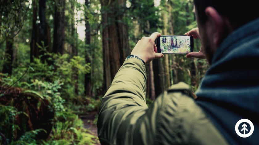 A man taking a photograph of the forest with a smartphone.
