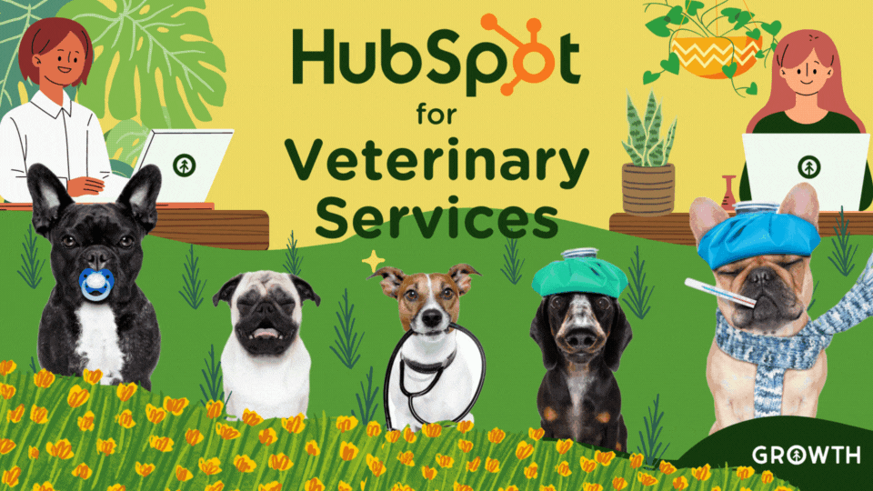 HubSpot for Veterinary Services