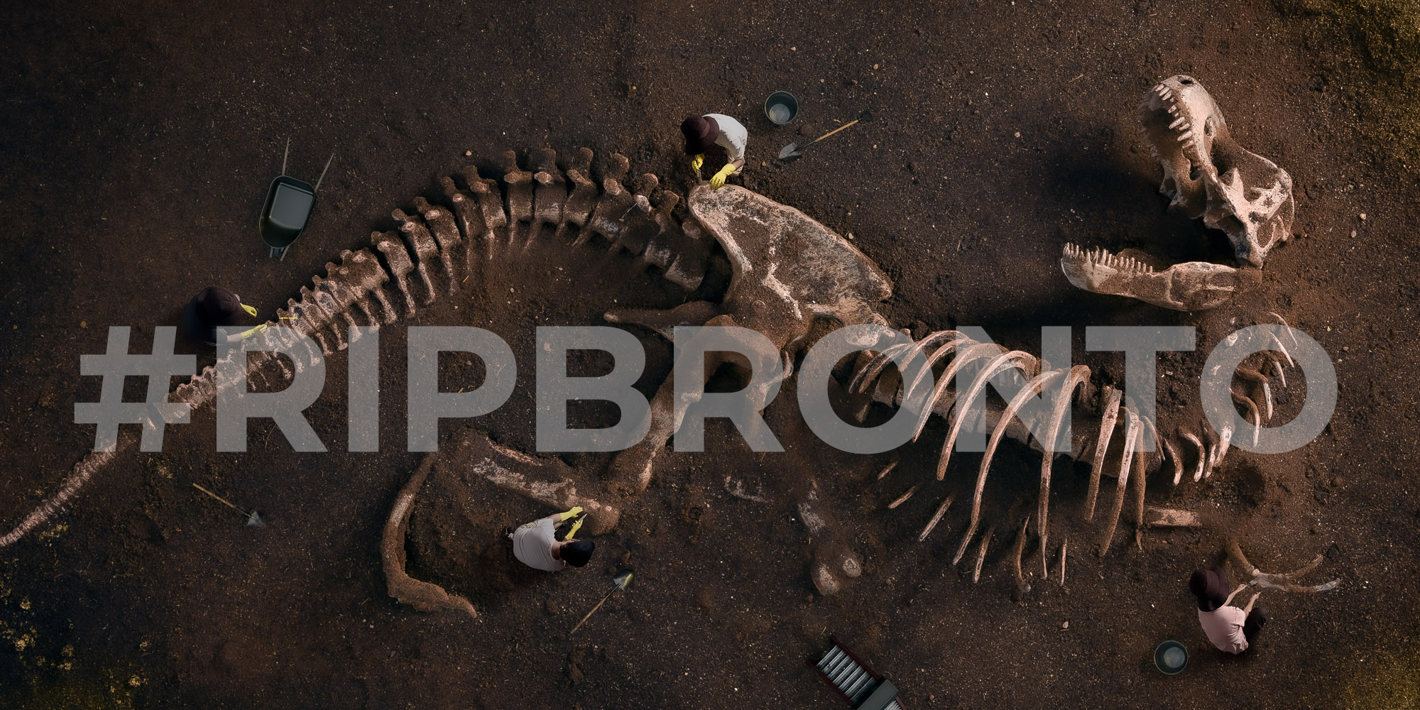Oracle Declares Bronto Marketing Software Extinct-featured-image
