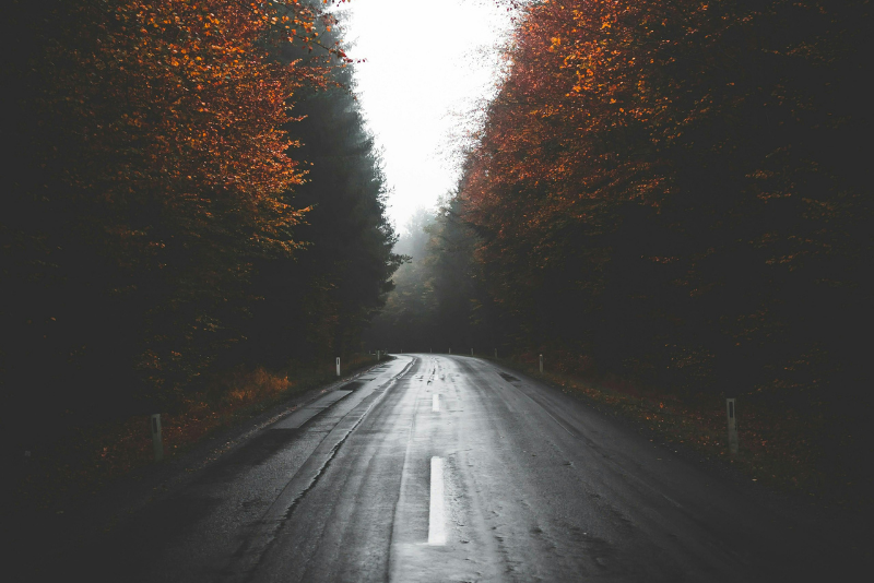 No Guesswork, No Surprises: How Discovery Works at Growth