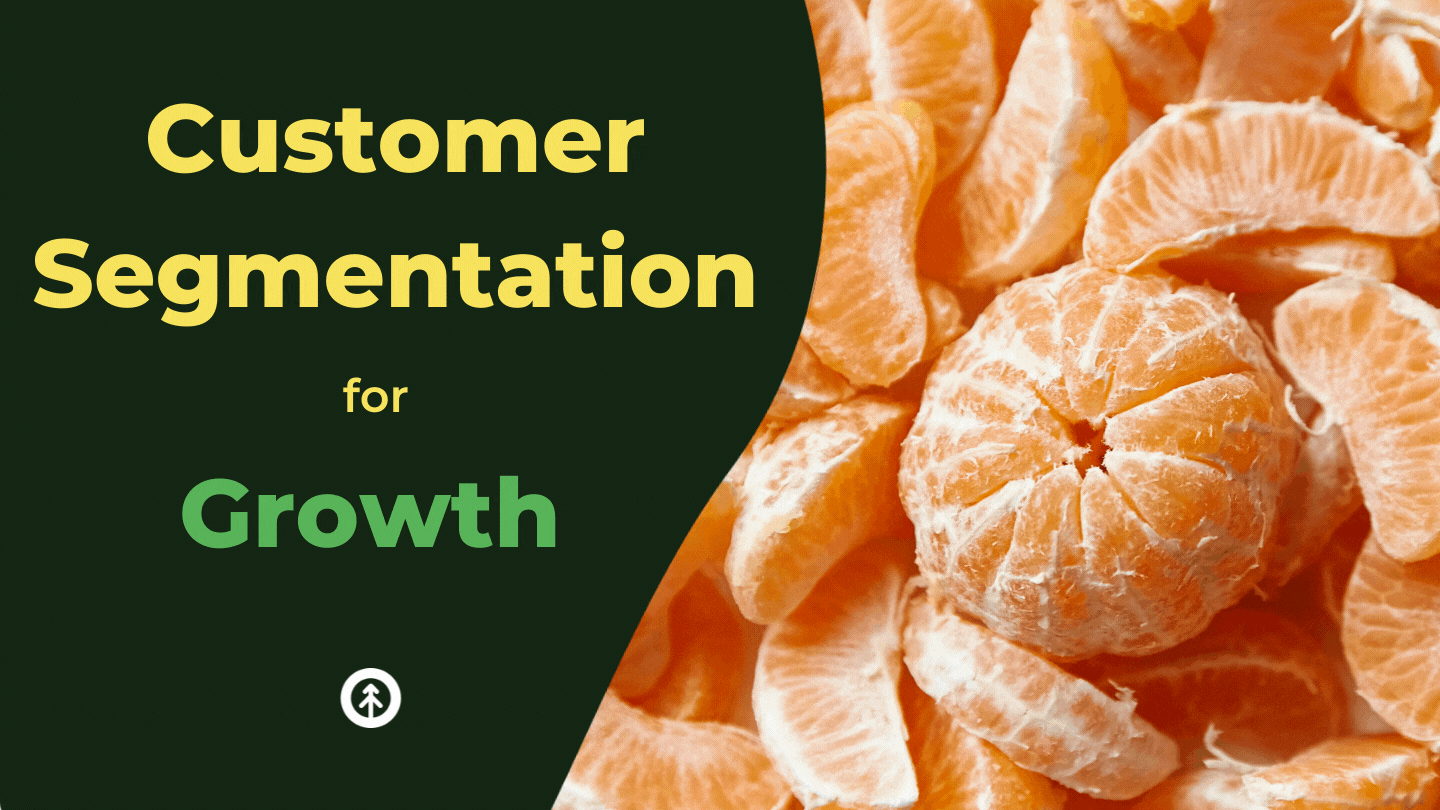 Customer Segmentation Strategies for Growth-featured-image